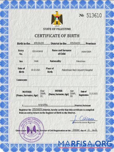 Realistic Palestine vital record birth certificate PSD template